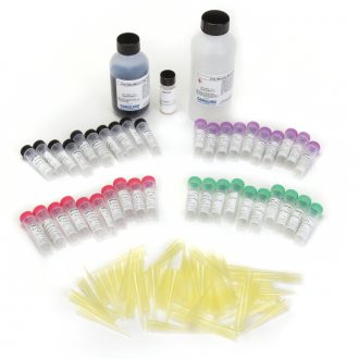 Exploring Electrophoresis Using Forensic DNA Evidence Replacement Kit