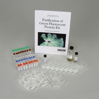 Purification of Green Fluorescent Protein 8-Station Kit, Module 2 (purification) (with perishables)