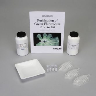 Purification of Green Fluorescent Protein 8-Station Kit, Module 3 (electrophoresis) (with voucher)