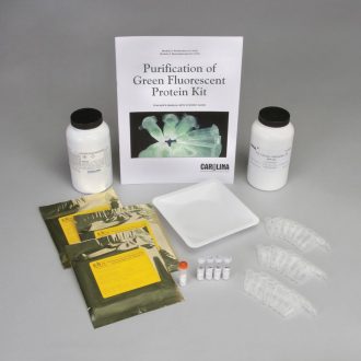 Purification of Green Fluorescent Protein 8-Station Kit, Module 3 (electrophoresis) (with perishables)