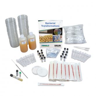 Green Gene Colony Transformation 4-Station Kit (with voucher)