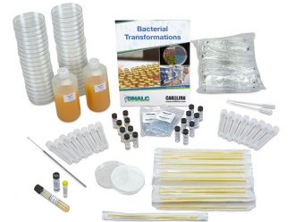 Glow-in-the-Dark Transformation 4-Station Student Kit (with perishables)