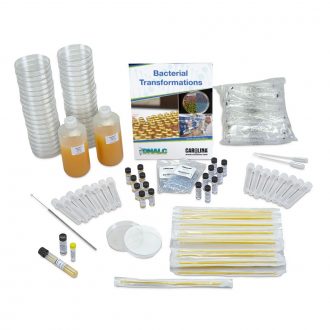 Glow-in-the-Dark Transformation 4-Station Student Kit (with perishables)