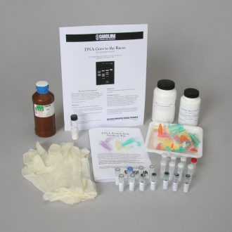 DNA Restriction Analysis Kit with Ethidium Bromide (with voucher)