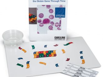 Genetic Kinship: Following the Globin Gene Through Time 1-Station Kit