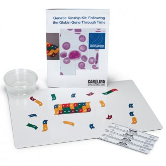Genetic Kinship: Following the Globin Gene Through Time 1-Station Kit