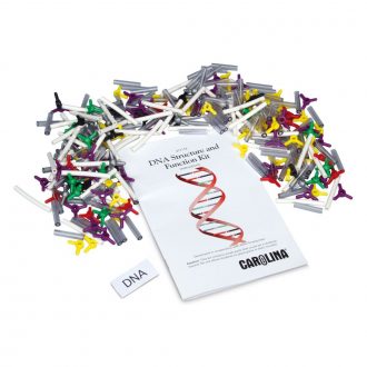 DNA Structure and Function Model Kit