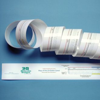 Bioinformatics Map of the Human Beta-Globin Gene© Set