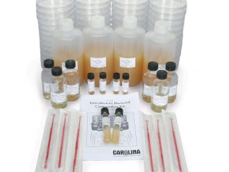 Introductory Bacterial Conjugation Kit (with voucher)