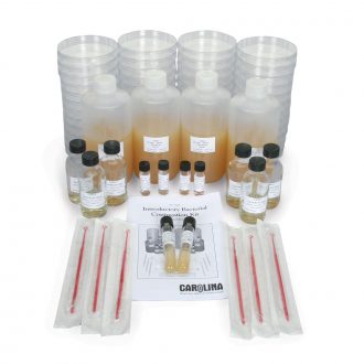 Introductory Bacterial Conjugation Kit (with voucher)