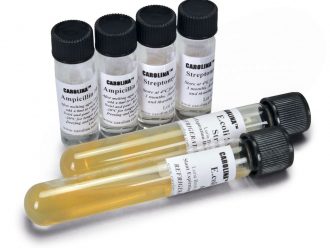Introductory Bacterial Conjugation Kit Refill