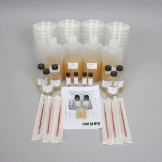 Introductory Bacterial Conjugation Kit (with perishables)