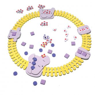 Phospholipid & Membrane Transport Kit©