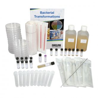 Colony Transformation 4-Station Kit (with perishables)