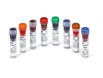 Introductory Gel Electrophoresis 8-Station Kit Dyes