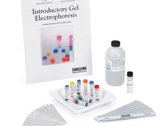 Introductory Gel Electrophoresis 8-Station Student Kit
