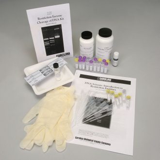 Restriction Enzyme Cleavage of DNA 8-Station Refill (DNA only)