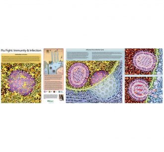 Flu Fight: Immunity & Infection© Panorama Cellular Landscape Poster