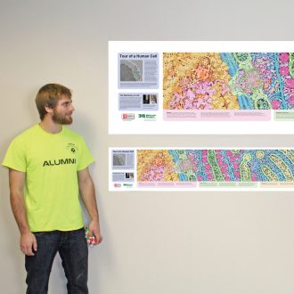 Tour of a Human Cell© Grand Panorama© Cellular Landscape Poster
