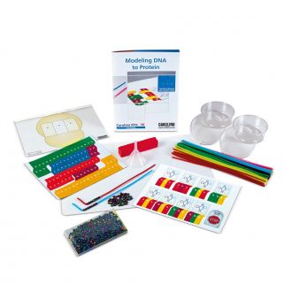 Modeling DNA to Protein 8-Station Kit