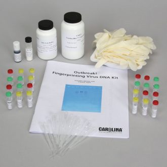 Outbreak! Fingerprinting Virus DNA 8-Station Kit