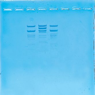 Outbreak! Fingerprinting Virus DNA 8-Station Kit - DNA Only