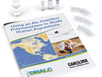 Human Alu DNA Extraction and Amplification Kit (with perishables)