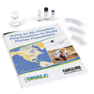Human Alu DNA Extraction and Amplification Kit (with perishables)