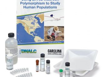 Human Alu DNA Extraction, Amplification, and Electrophoresis Kit with GelGreen® Stain (with voucher)