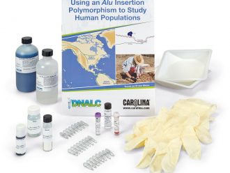 Human Alu DNA Extraction, Amplification, and Electrophoresis Kit with CarolinaBLU® Stain (with perishables)