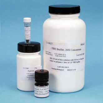 DNA Gel Electrophoresis Reagent Set with Ethidium Bromide