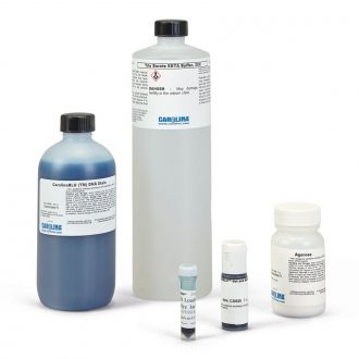 DNA Gel Electrophoresis Reagent Set with CarolinaBLU®