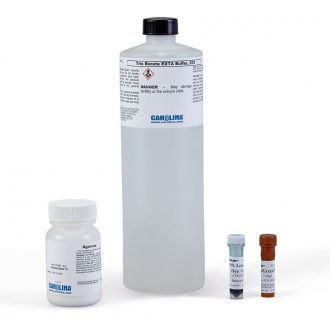 DNA Gel Electrophoresis Reagent Set with GelGreen®