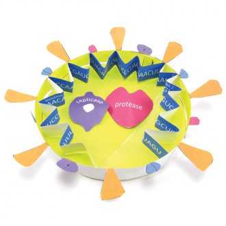 Origami Organelles™ 3-D Model Kit: Coronavirus Structure