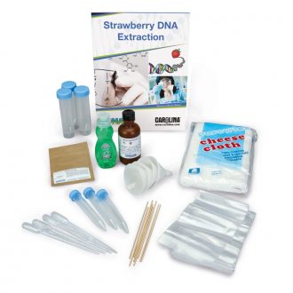 DNALC Strawberry DNA Extraction Kit