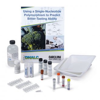 PTC Extraction, Amplification, and Electrophoresis Kit with GelGreen® Stain and 0.2-mL Tubes (with perishables)