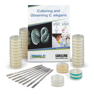 Culturing and Observing C. elegans Kit