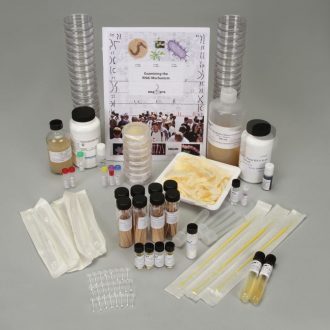 Examining the RNAi Mechanism Kit (RNAi, Amplification, and Electrophoresis Kit with CarolinaBLU®; with Perishables)