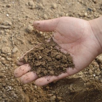 eDNA: Sampling Soil for Antibiotic Resistance Kit (with consumables)