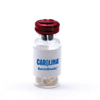 Carolina® BactoBeads™ Freeze-Dried E. coli OP50