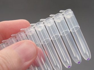 Instant Lambda DNA, 10 x 10 µg