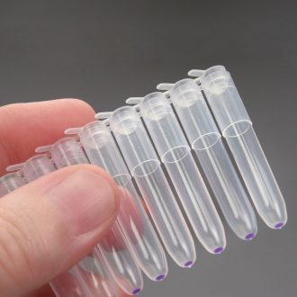 Instant Lambda DNA, 10 x 10 µg