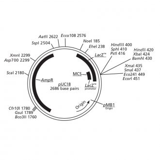 pUC18 Plasmid, 10 µg