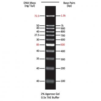 Molecular Weight Marker, 100 bp, 100 µL