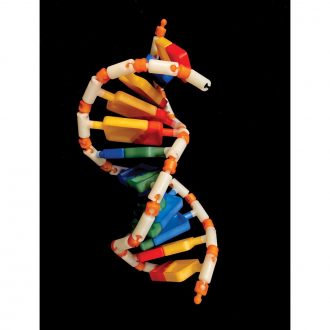 PlayDNA!™ DNA Model Kit Intro Pack