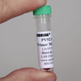 Alu PV92 Primers Set