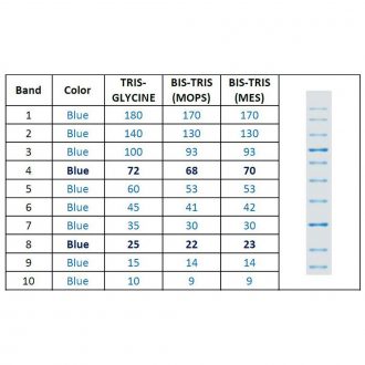 Carolina® SmartCheck™ All Blue Protein Markers, 50 µL
