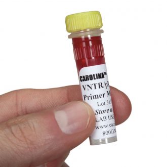 pMCT118 Primers Set