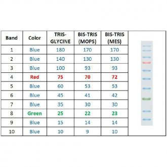 Carolina® SmartCheck™ Tricolor Protein Markers, 50 µL
