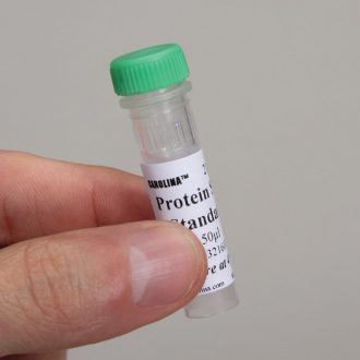 Protein Size Standards, 50 µL
